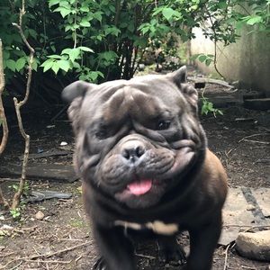 Meet your Posher, Phyllis